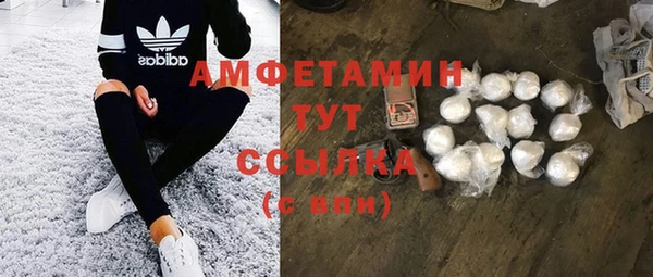 гашик Бородино