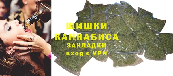 гашик Бородино