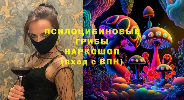 гашик Бородино