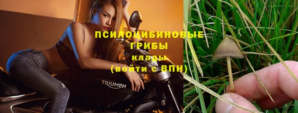 гашик Бородино